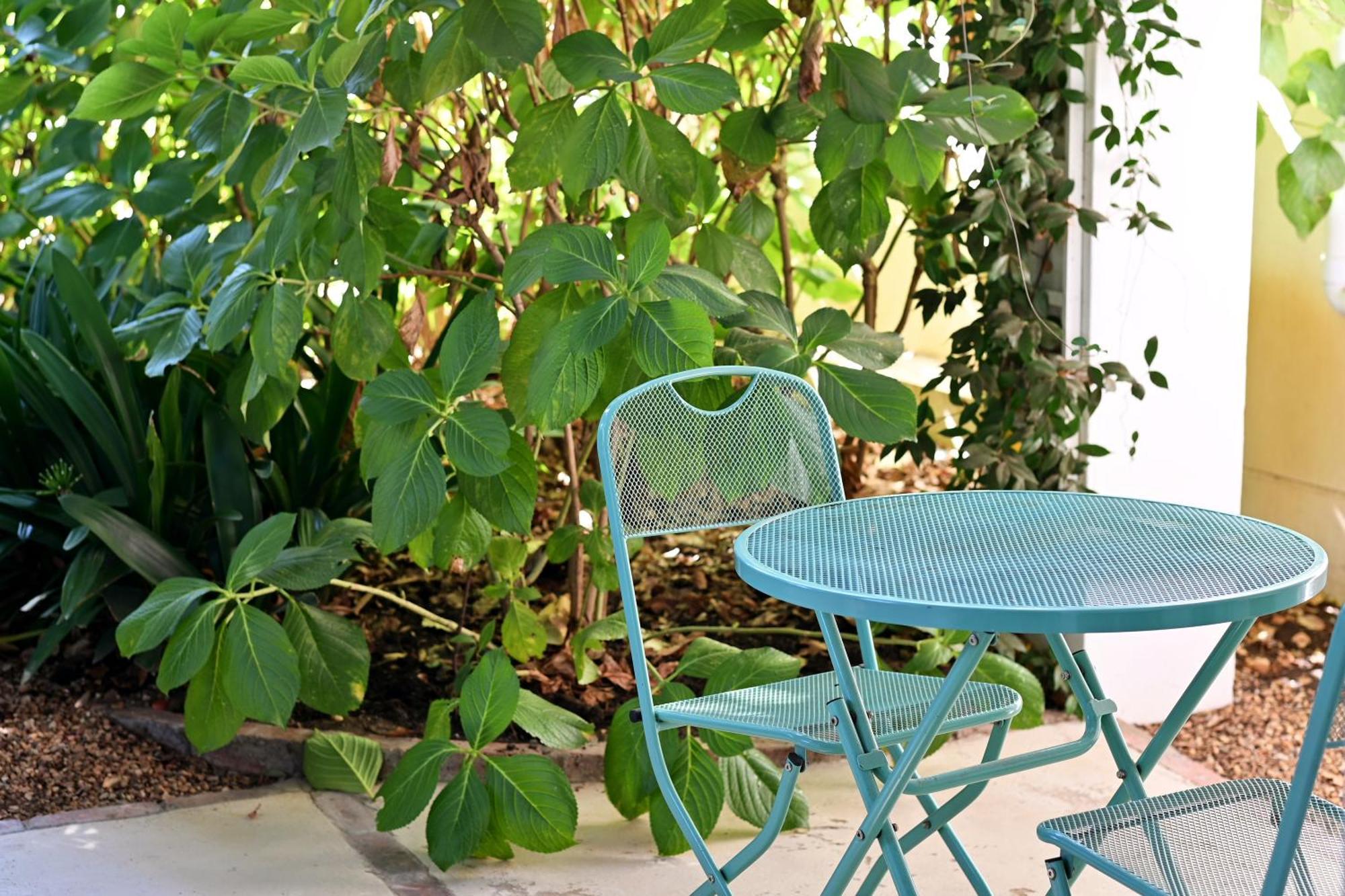 Fransvliet Guest House Franschhoek Extérieur photo